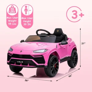 12V ride on (3)