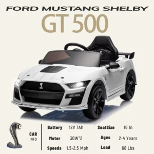 71SBPnHy-7L._AC_SL1500_